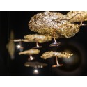 Catellani & Smith Gold Moon Jc