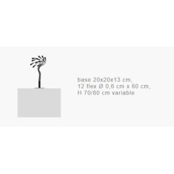 Catellani & Smith Bonsai