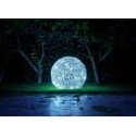 Catellani & Smith Fil De Fer 50Cm F Outdoor