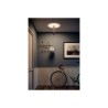 Catellani & Smith Ale C ceiling lamp