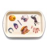 SELETTI TOILETPAPER Plate 56 x 29 cm enamel