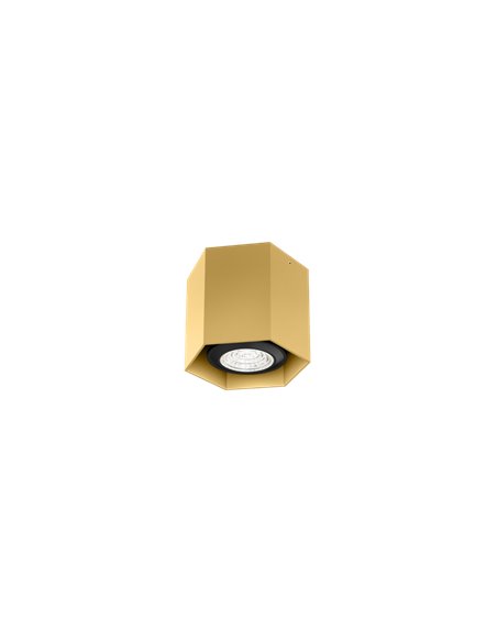 Wever & Ducré HEXO MINI 1.0 PAR16 Plafondlamp