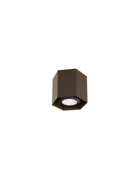 Wever & Ducré HEXO MINI 1.0 PAR16 Ceiling lamp