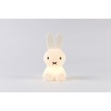 MrMaria Nijntje Bundle of Light LED lamp 15 cm Tafellamp