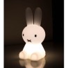 MrMaria Miffy Bundle of Light LED lamp 15 cm Table lamp