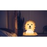 MrMaria Lion First Light LED lamp 30 cm Table lamp / Floor lamp
