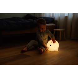 MRMARIA_OLIFANT_FIRST_LIGHT_LIGHTANDSHADE_1