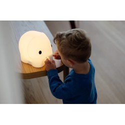 MRMARIA_OLIFANT_FIRST_LIGHT_LIGHTANDSHADE_2
