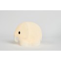 MRMARIA_OLIFANT_FIRST_LIGHT_LIGHTANDSHADE_9