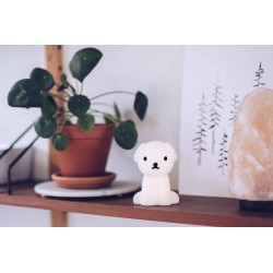 MRMARIA_SNUFFIE_BUNDLE_OF_LIGHT_LIGHTANDSHADE_1
