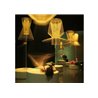 Foscarini Allegro Assai Led suspension lamp