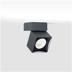 IP44 Pro S Ceiling Light