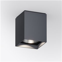 IP44 Up S Ceiling Light