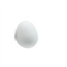Foscarini Gregg Midi Wall/Ceiling Ceiling Lamp / Wall Lamp