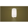 Foscarini Chouchin 2 Reverse Ceiling Ceiling Lamp