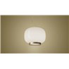 Foscarini Chouchin 1 Reverse Susp. 10M Suspension Lamp