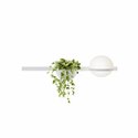 Vibia Palma Horizontal 2X 85 wandlamp