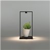 Artemide Curiosity 36 Table lamp