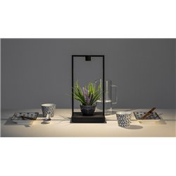 Artemide Curiosity 36 / FOCUS Table lamp