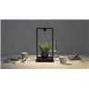 Artemide Curiosity 36 / FOCUS Table lamp