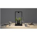 Artemide Curiosity 45 Tafellamp