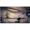 Artemide Flexia Suspension suspension lamp