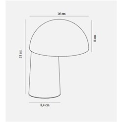 DFTP Faye 16 3-Step Dim Rechargeable table lamp