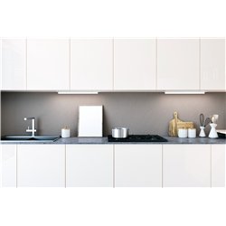 Nordlux LATONA 55 ceiling lamp
