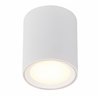 Nordlux Fallon 4-step Dim Long ceiling lamp