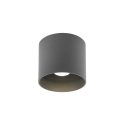 Wever & Ducré Ray Outdoor Ceiling Surf 1.0 Led Plafondlamp