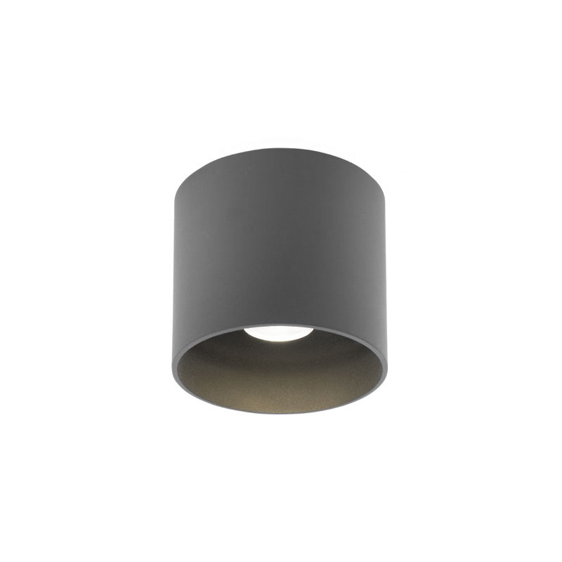 Wever & Ducré Ray Outdoor Ceiling Surf 1.0 Led Plafondlamp