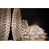 Slamp CACTUS FLOOR LAMP XXL