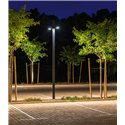 Delta Light Polesano flood Tuinpaal
