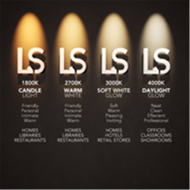 Delta Light M - DOT.COM WALLWASH 06 MDL Trackverlichting