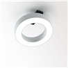Delta Light SUPER-OH! XS PIVOT 25 DIM8 Ceiling lamp