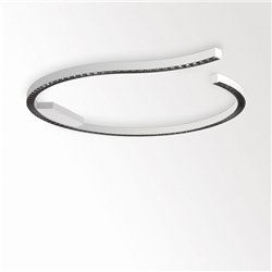 Delta Light INFORM R2+ DOWN DIM5 Ceiling lamp