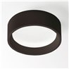 Delta Light DIRO SBL L ON Ceiling lamp