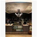 Delta Light XY180 S121 Plafondlamp