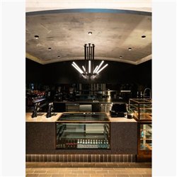 Delta Light XY180 S121 Ceiling lamp