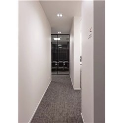 Delta Light Minigrid On 250 DIM8 Ceiling lamp