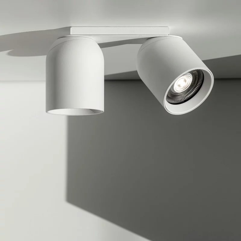 Delta Light OBIN ON 2 DIM8 Plafondlamp