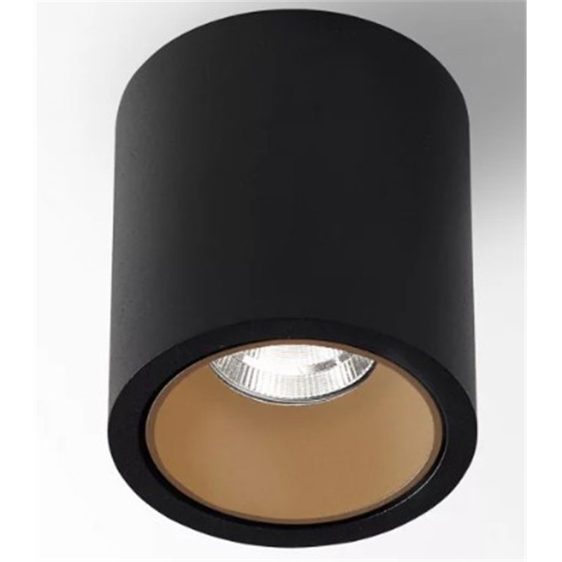 Delta Light R HE Plafondlamp