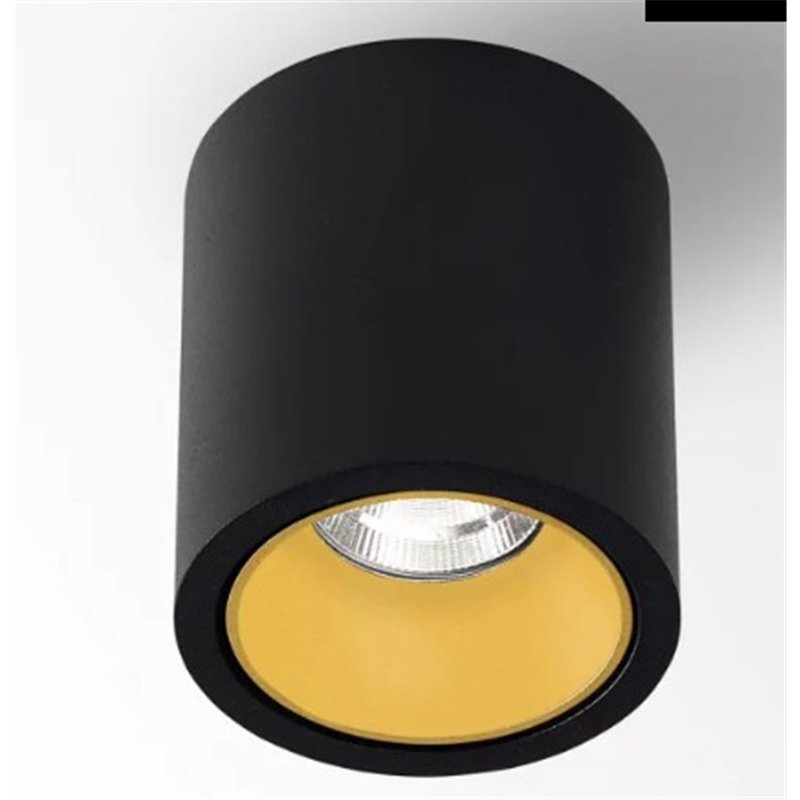 Delta Light R HE Plafondlamp