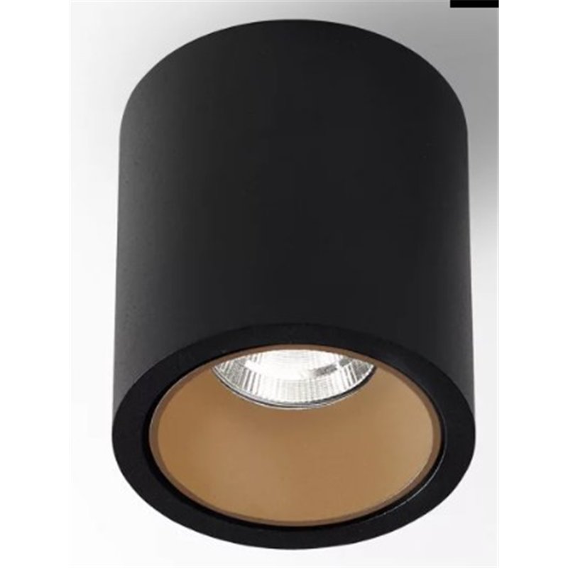 Delta Light R HE Plafondlamp