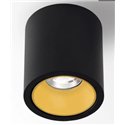 Delta Light R HE Plafondlamp