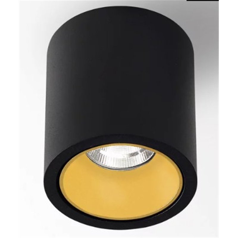 Delta Light R HE Plafondlamp