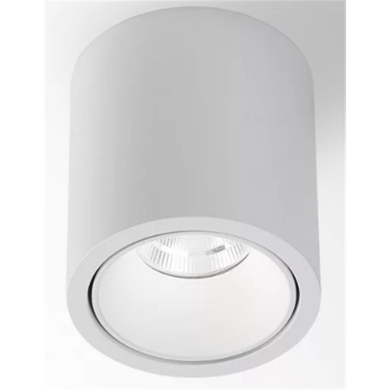Delta Light R HE Plafondlamp