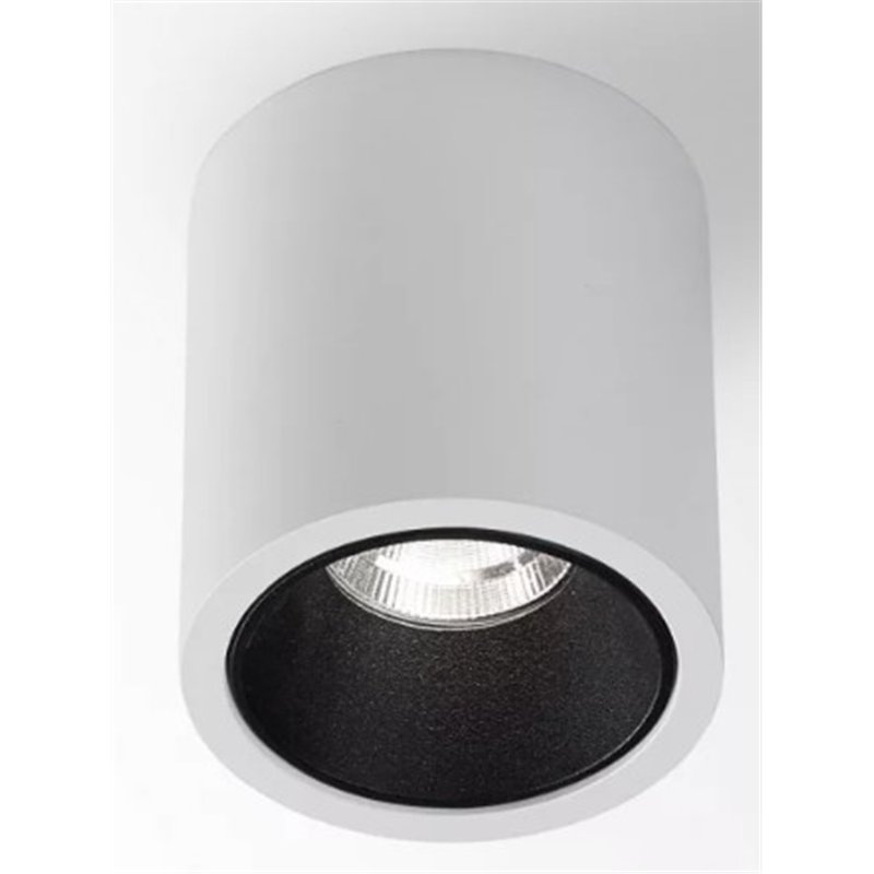 Delta Light R HE Plafondlamp