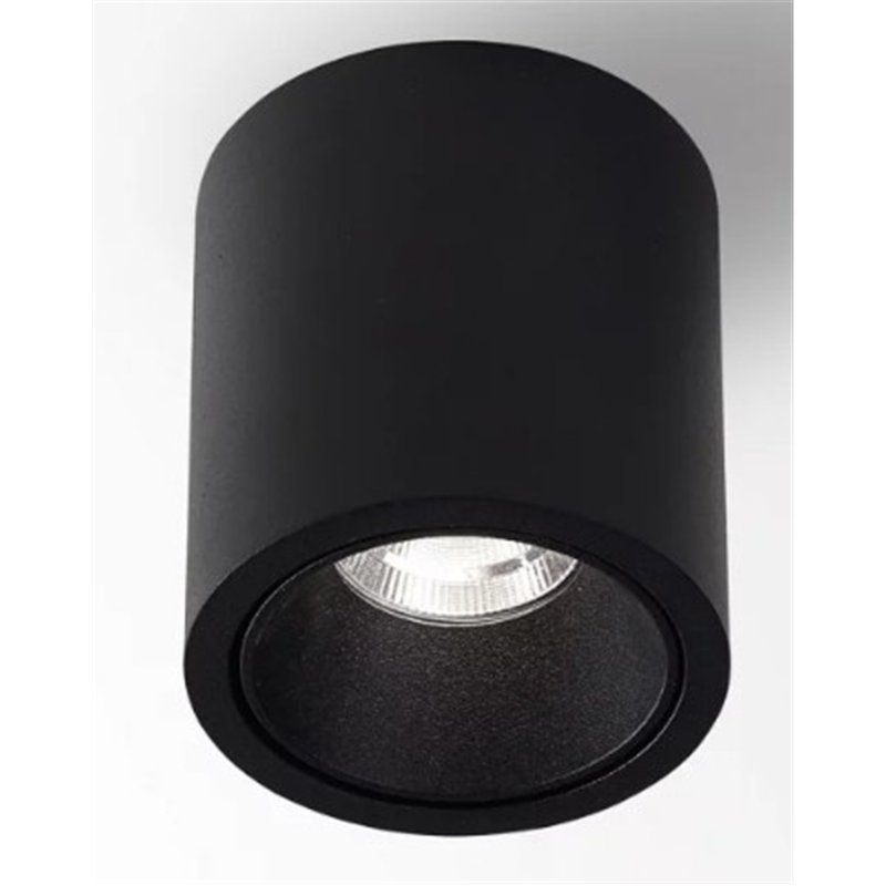 Delta Light R HE Plafondlamp