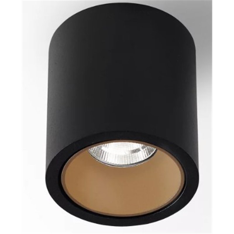 Delta Light R HE Plafondlamp